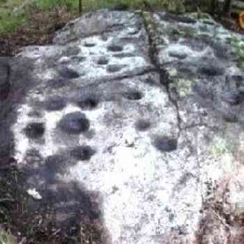 Click para ampliar. Pulsa en el nombre para ver la ficha. Monte do Boi-6